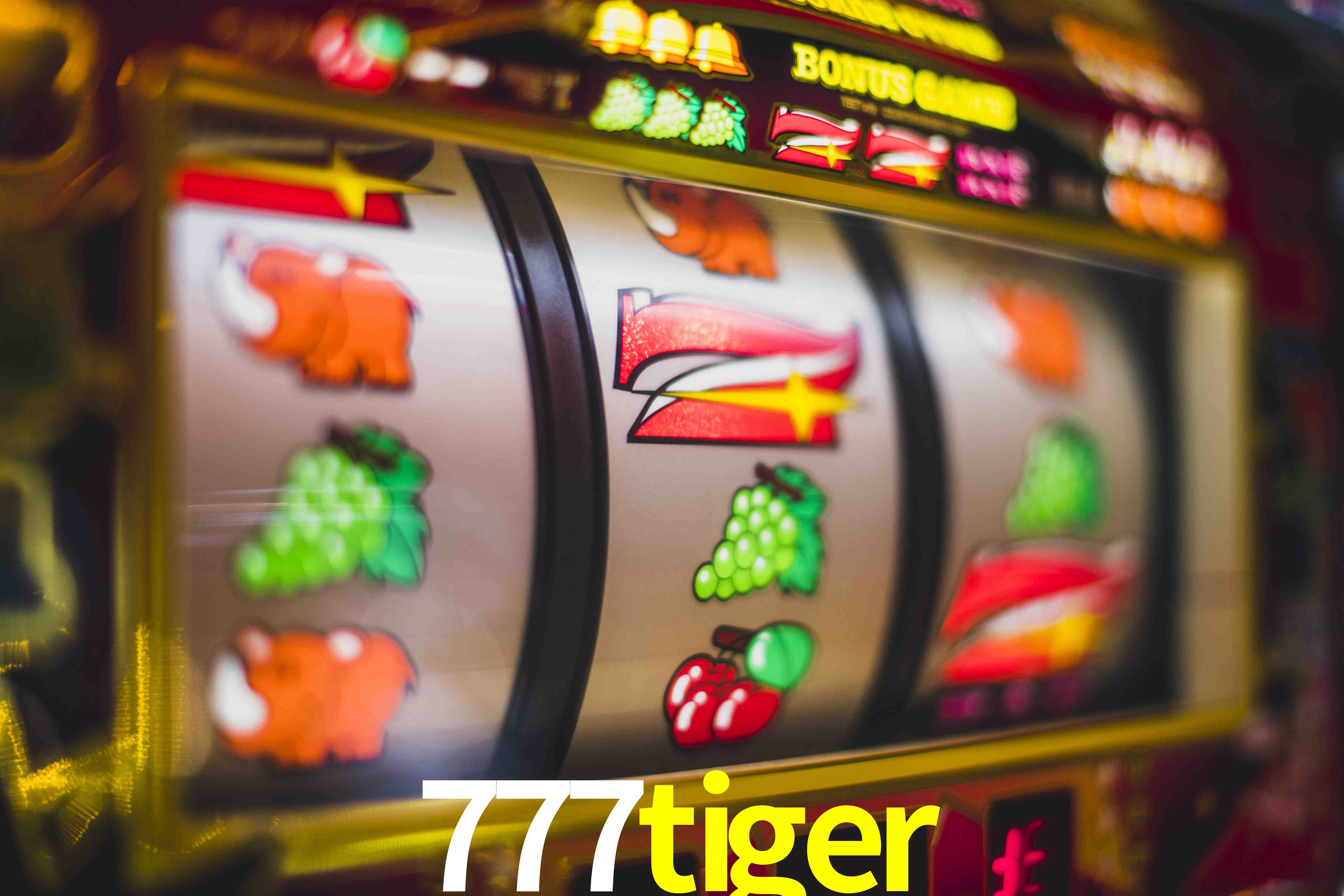 Tennis Betting 777tiger